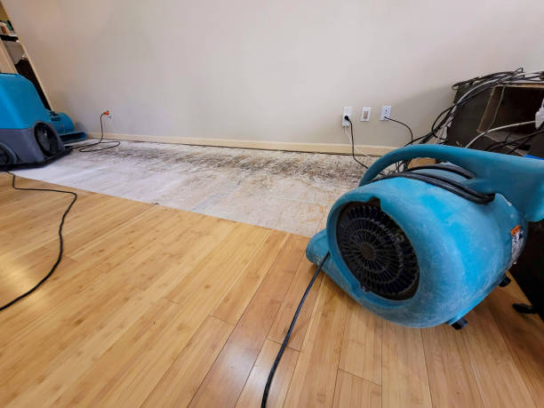 Professional Sewage Cleanup technician working in Park Ridge, NJ